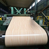 Color Coated Steel Coil Wood Grain for Construction Use for Decorating Wall/Elevator