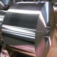 Tin Free Steel Coil/Sheet